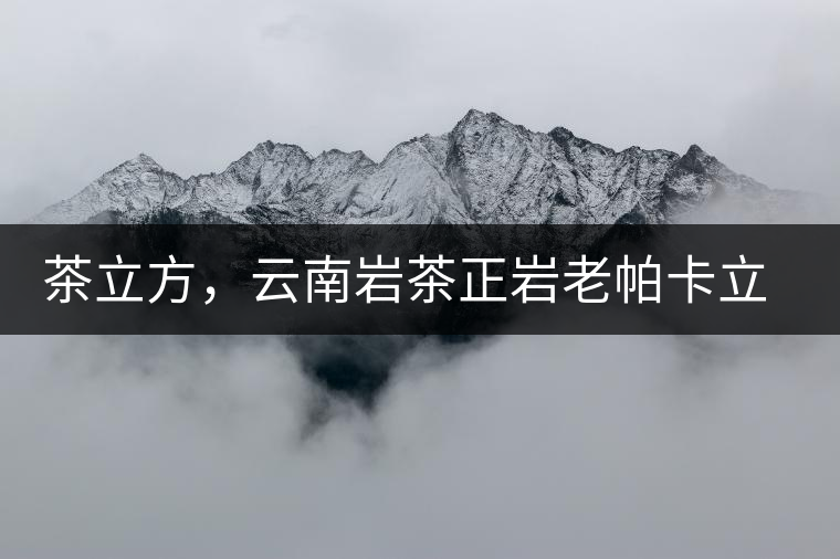 茶立方，云南巖茶正巖老帕卡立方磚今日芳香出爐