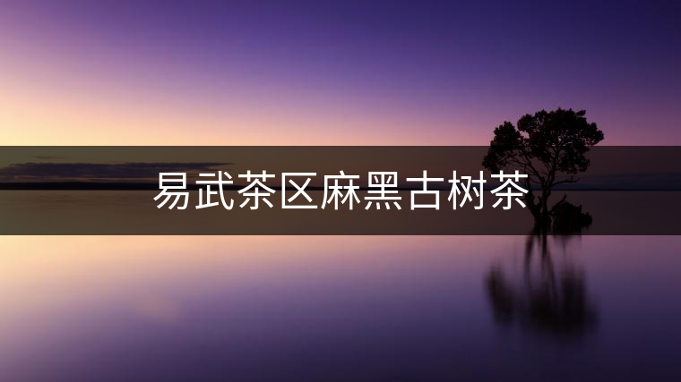 易武茶區(qū)麻黑古樹(shù)茶