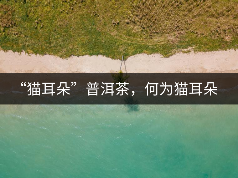 “貓耳朵”普洱茶，何為貓耳朵？