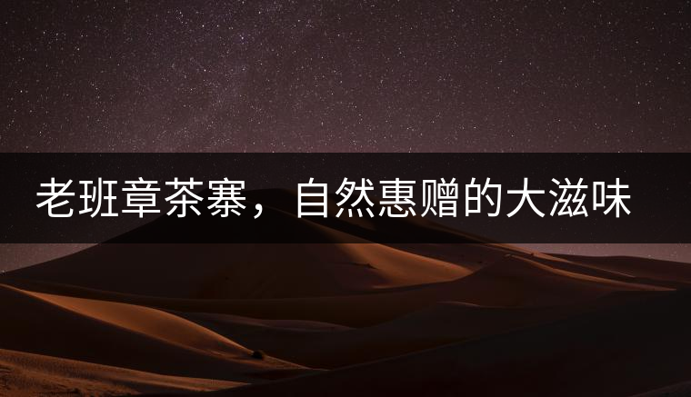 老班章茶寨，自然惠贈的大滋味，大滿足