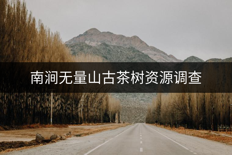 南澗無(wú)量山古茶樹資源調(diào)查 南澗無(wú)量山古茶樹資源調(diào)查