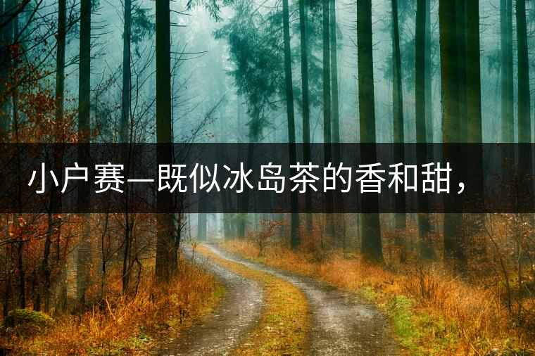 小戶賽—既似冰島茶的香和甜，又有其獨特的純和凈