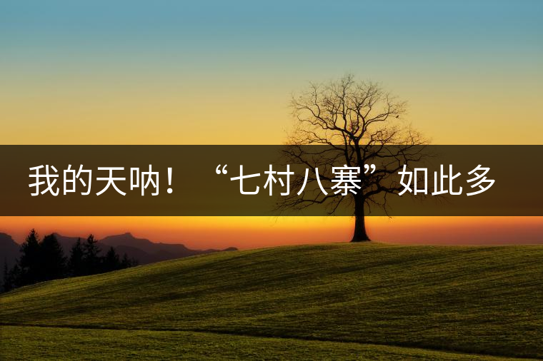 我的天吶！“七村八寨”如此多的易武茶，品質(zhì)特色如何分辨？