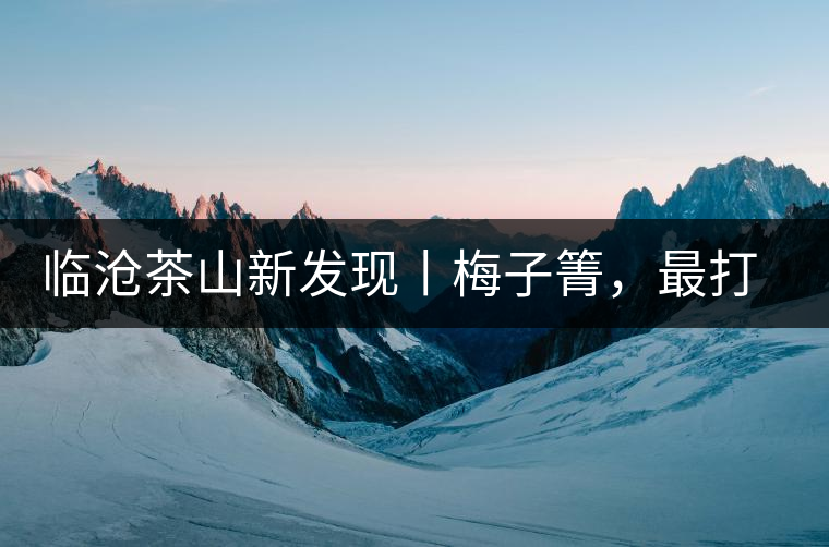 臨滄茶山新發(fā)現(xiàn)丨梅子箐，最打動自己的茶山