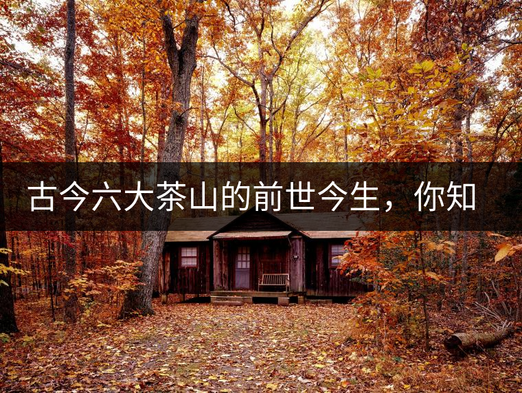 古今六大茶山的前世今生，你知多少？