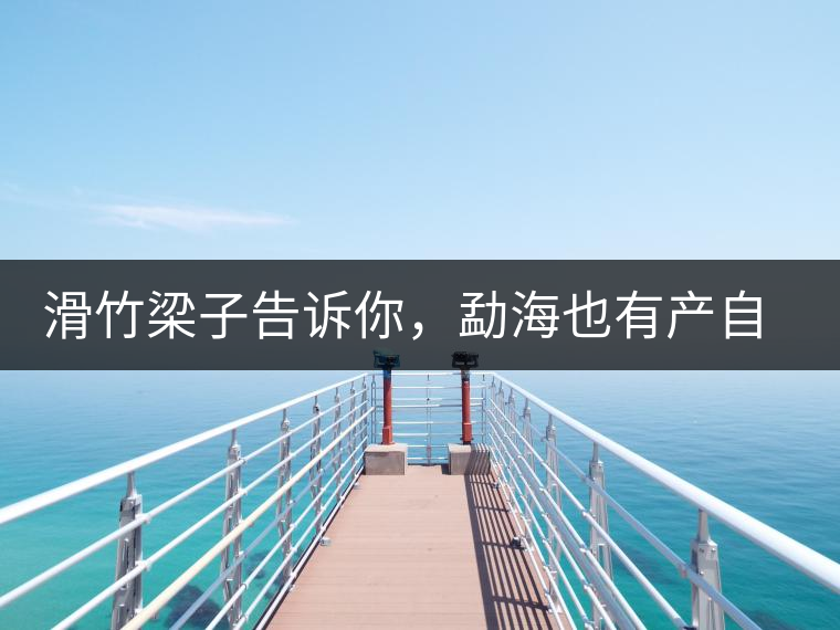 滑竹梁子告訴你，勐海也有產(chǎn)自國(guó)有林里的好茶！