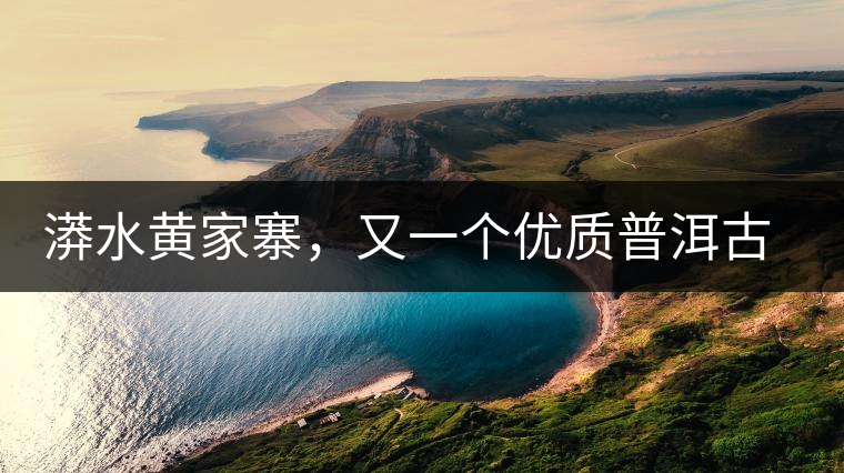 漭水黃家寨，又一個(gè)優(yōu)質(zhì)普洱古樹群落