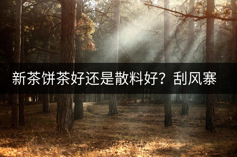 新茶餅茶好還是散料好？刮風(fēng)寨開湯評(píng)測(cè)