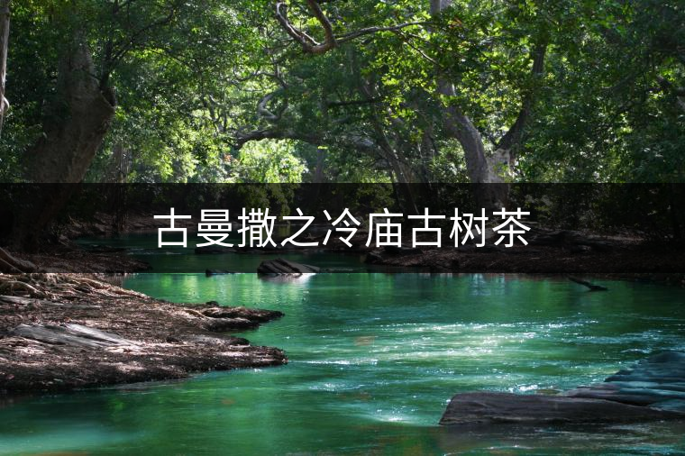 古曼撒之冷廟古樹茶