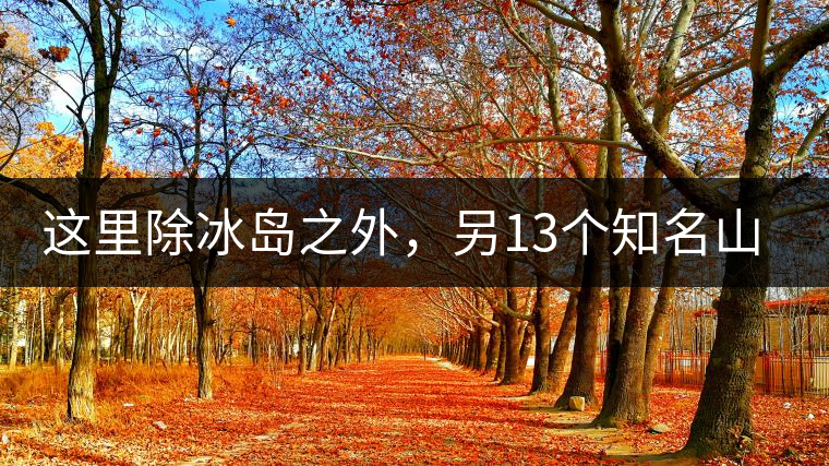 這里除冰島之外，另13個知名山頭普洱茶你知道嗎？