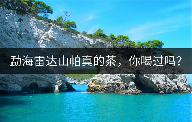 勐海雷達(dá)山帕真的茶，你喝過(guò)嗎？