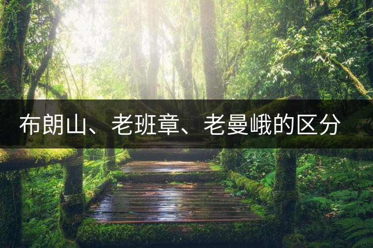 布朗山、老班章、老曼峨的區(qū)分和鑒別