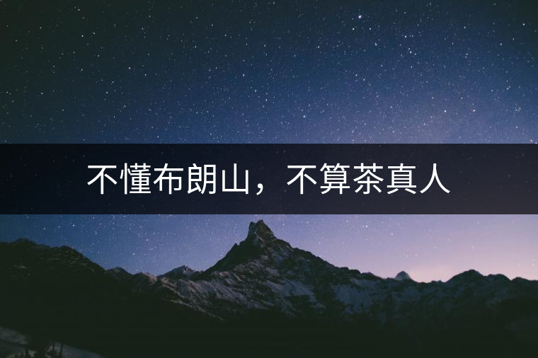 不懂布朗山，不算茶真人