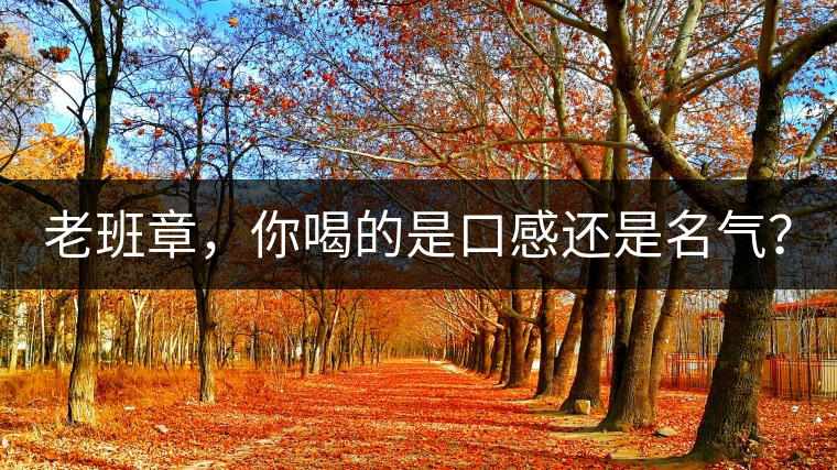 老班章，你喝的是口感還是名氣？