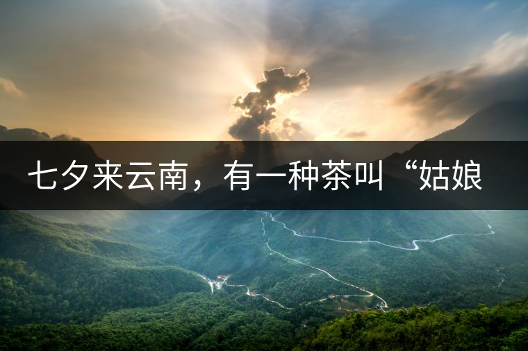 七夕來云南，有一種茶叫“姑娘茶”，也許你就能遇上
