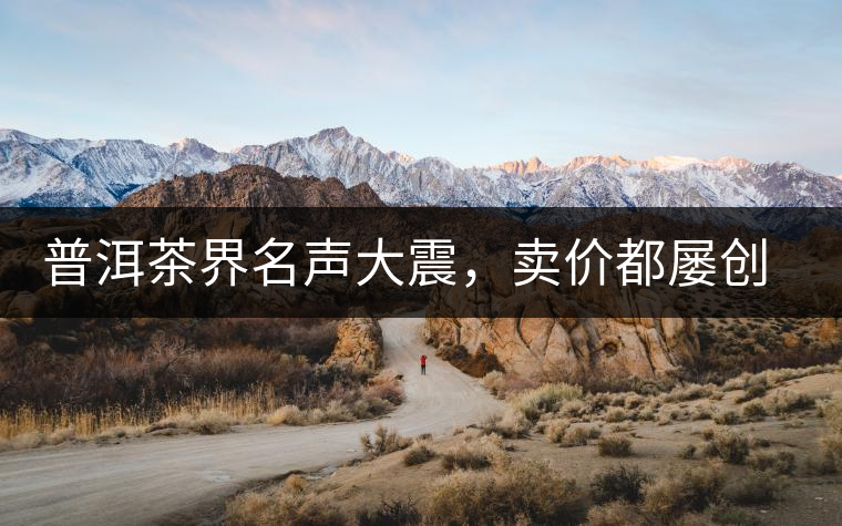 普洱茶界名聲大震，賣價(jià)都屢創(chuàng)新高竟然是它