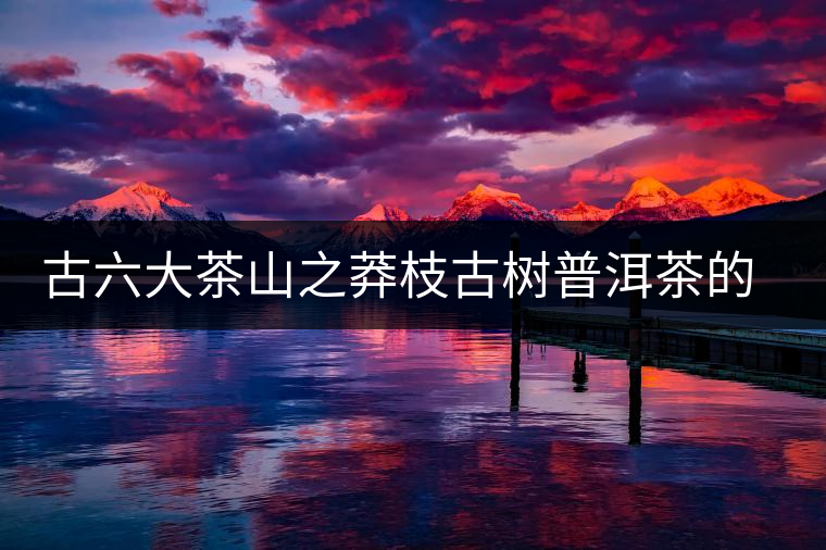 古六大茶山之莽枝古樹普洱茶的特點(diǎn)