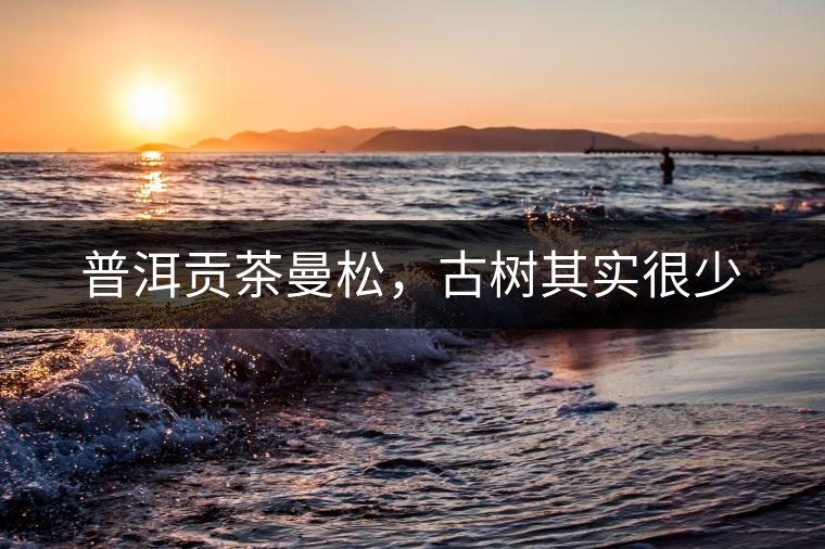 普洱貢茶曼松，古樹(shù)其實(shí)很少