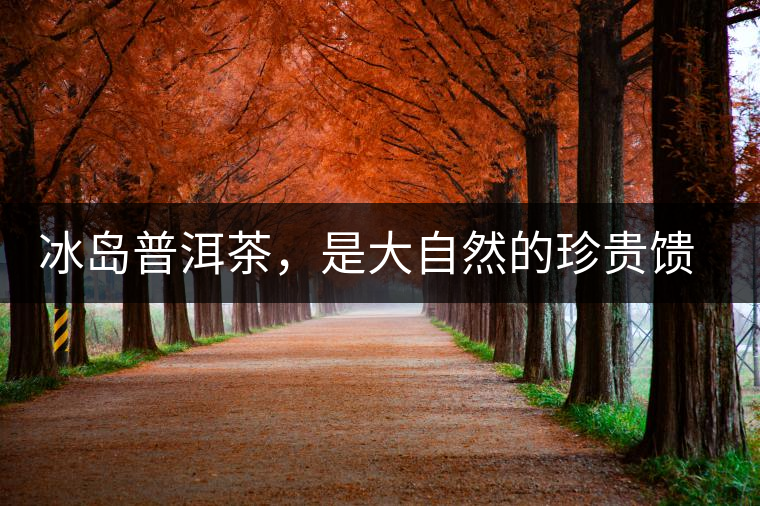 冰島普洱茶，是大自然的珍貴饋贈