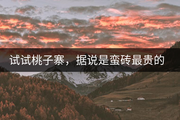 試試桃子寨，據(jù)說是蠻磚最貴的茶