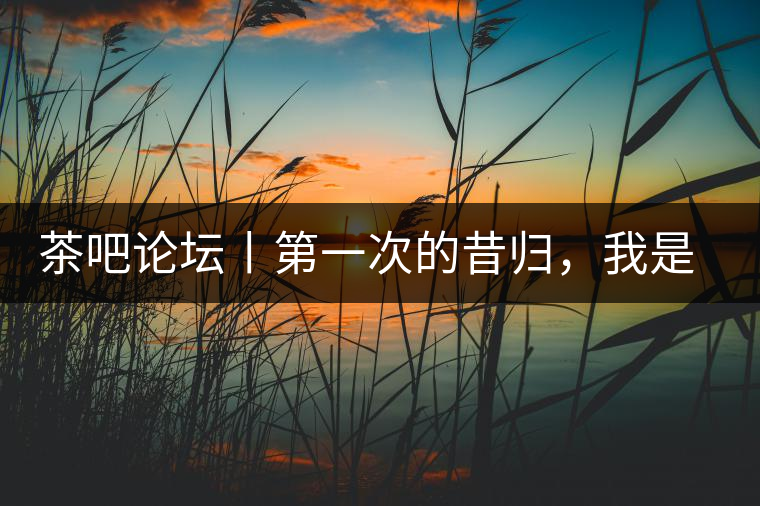 茶吧論壇丨第一次的昔歸，我是這樣喝到的