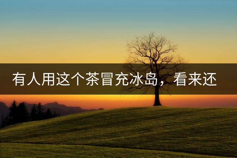 有人用這個(gè)茶冒充冰島，看來還是有幾分道理