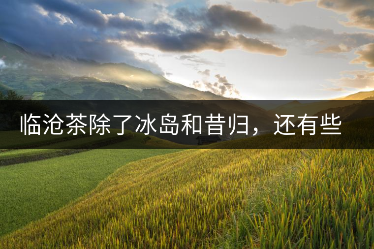 臨滄茶除了冰島和昔歸，還有些什么？