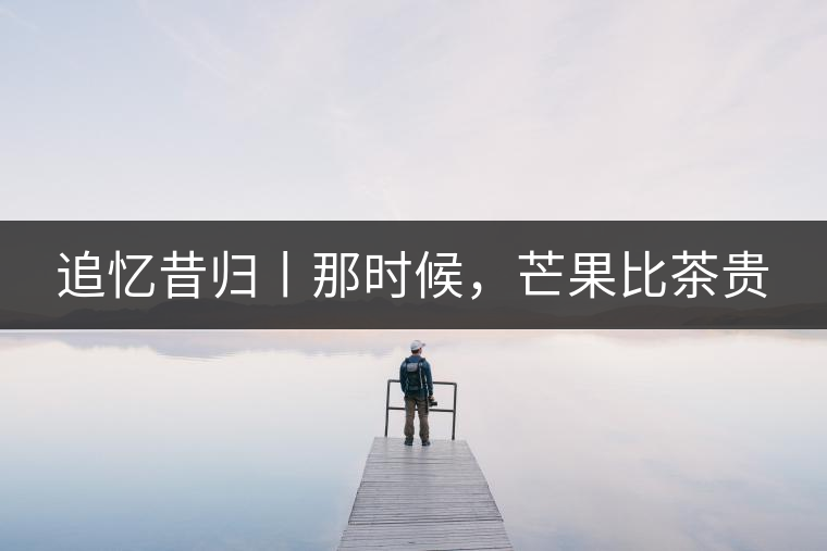 追憶昔歸丨那時候，芒果比茶貴