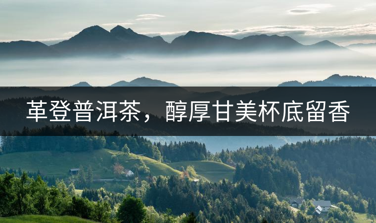 革登普洱茶，醇厚甘美杯底留香