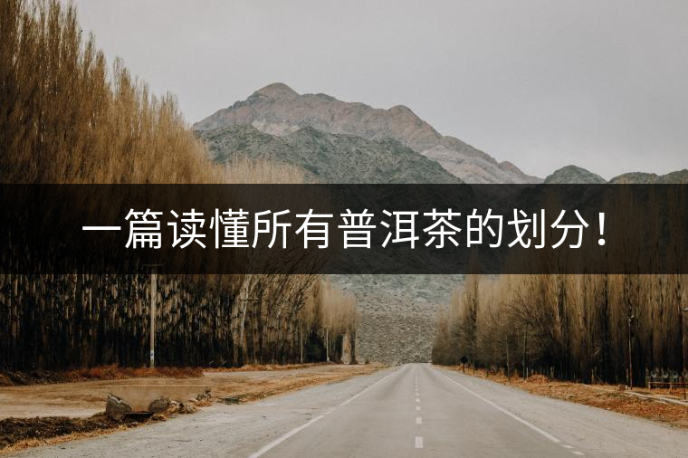 一篇讀懂所有普洱茶的劃分！