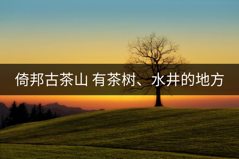 倚邦古茶山 有茶樹、水井的地方
