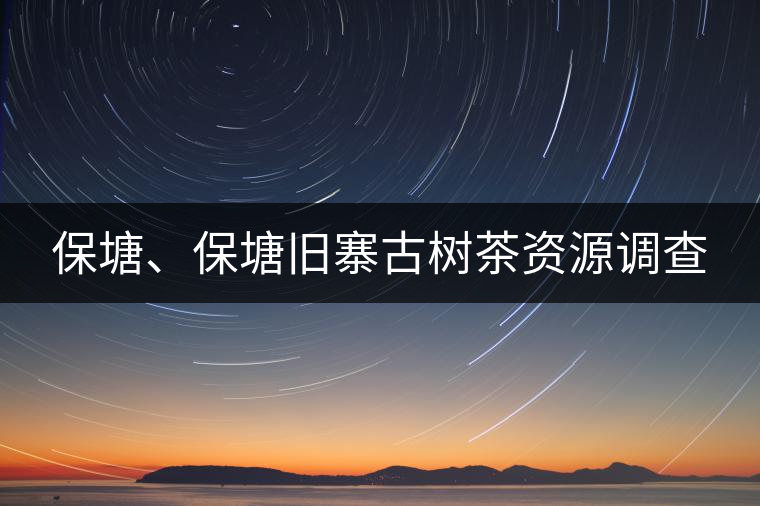 保塘、保塘舊寨古樹茶資源調查