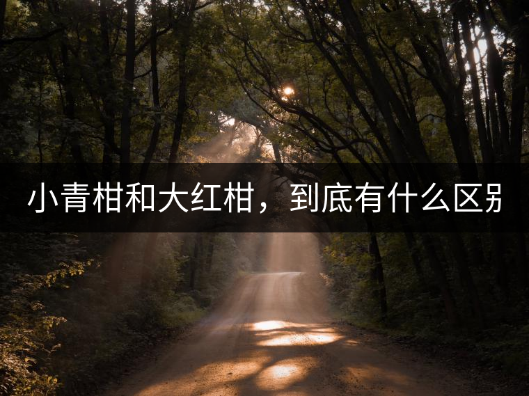 小青柑和大紅柑，到底有什么區(qū)別？