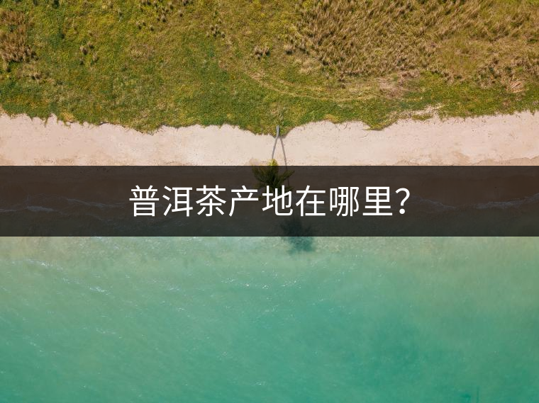 普洱茶產地在哪里？