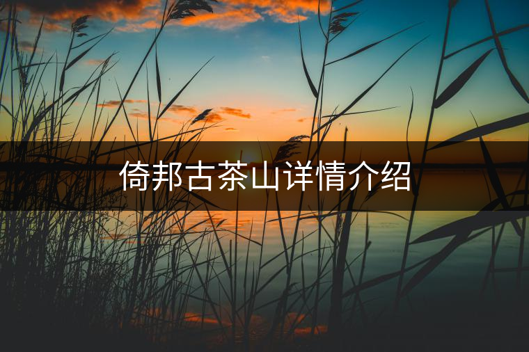 倚邦古茶山詳情介紹