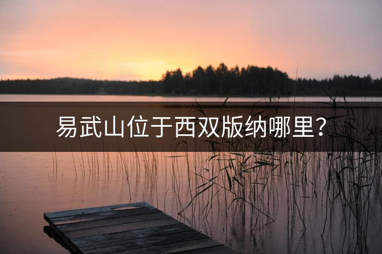 易武山位于西雙版納哪里？