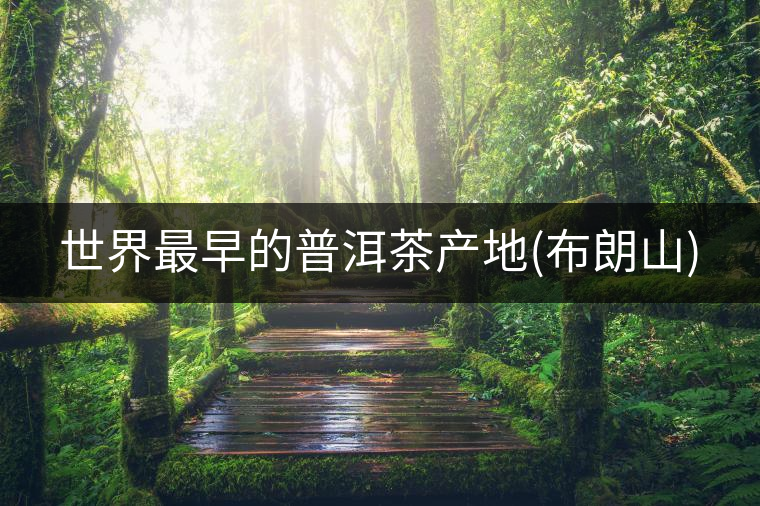 世界最早的普洱茶產(chǎn)地(布朗山) 世界最早的普洱茶產(chǎn)地(布朗山)