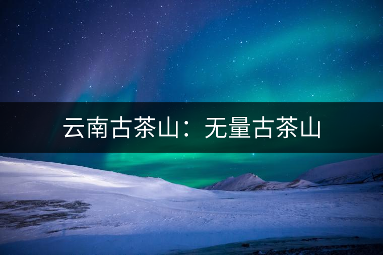 云南古茶山：無量古茶山