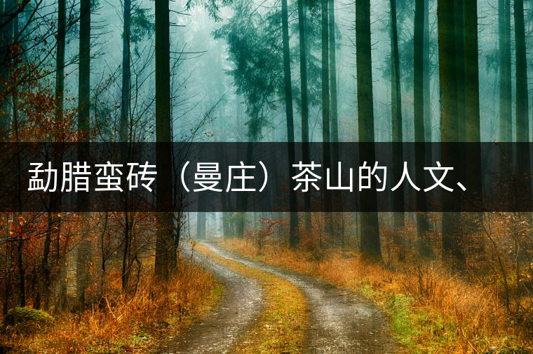 勐臘蠻磚（曼莊）茶山的人文、生態(tài)