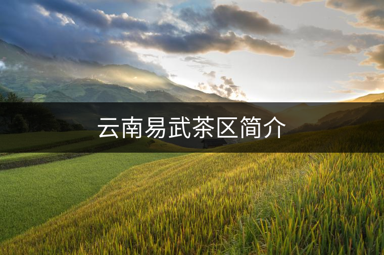 云南易武茶區(qū)簡(jiǎn)介