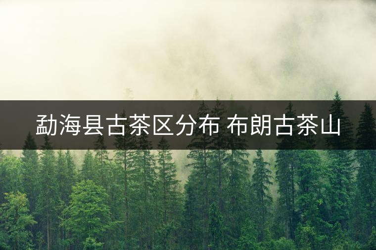 勐?？h古茶區(qū)分布 布朗古茶山