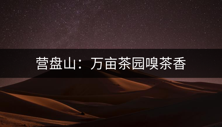 營盤山:萬畝茶園嗅茶香 營盤山:萬畝茶園嗅茶香