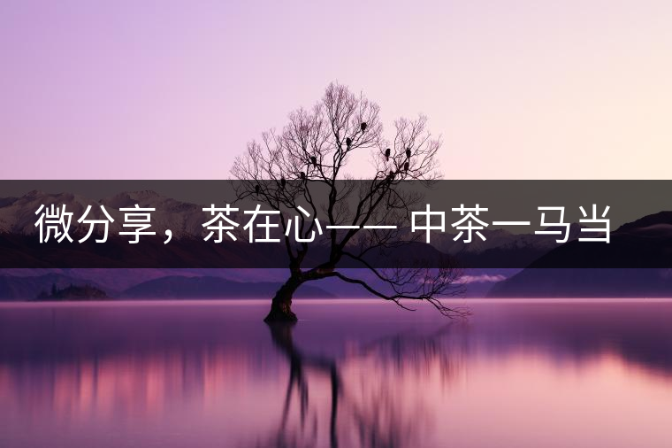 微分享，茶在心—— 中茶一馬當先