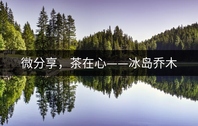 微分享，茶在心——冰島喬木