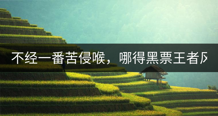 不經(jīng)一番苦侵喉，哪得黑票王者風(fēng)！