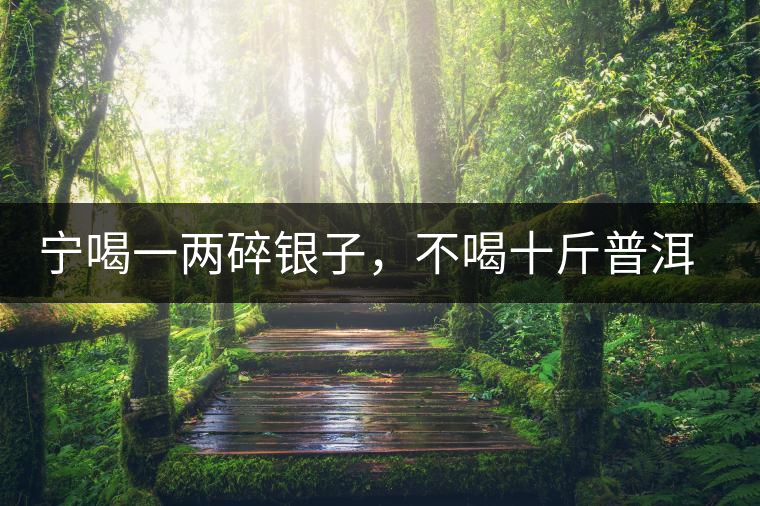 寧喝一兩碎銀子，不喝十斤普洱茶