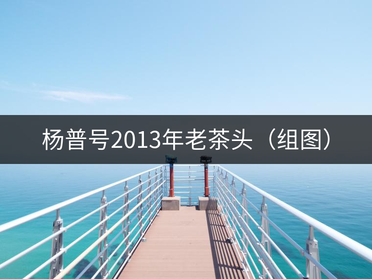 楊普號2013年老茶頭（組圖）