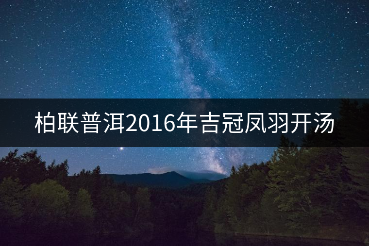柏聯(lián)普洱2016年吉冠鳳羽開湯 柏聯(lián)普洱2016年吉冠鳳羽開湯