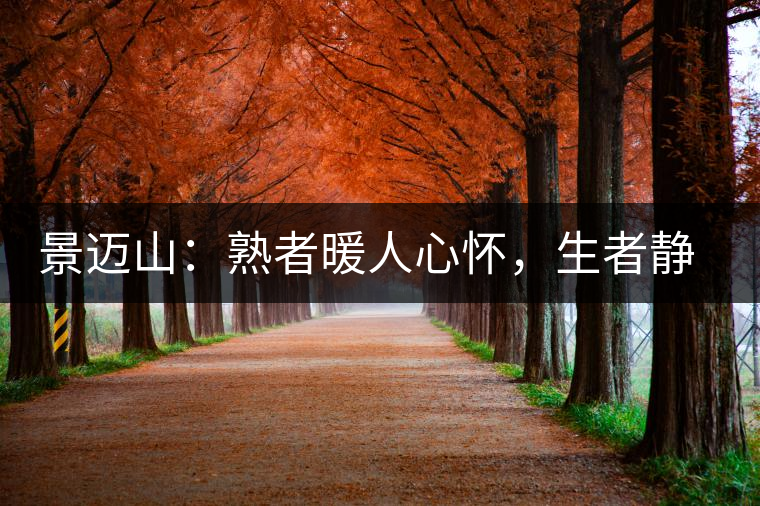 景邁山：熟者暖人心懷，生者靜品歲月