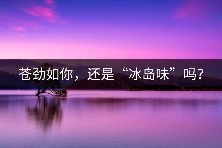 蒼勁如你，還是“冰島味”嗎？